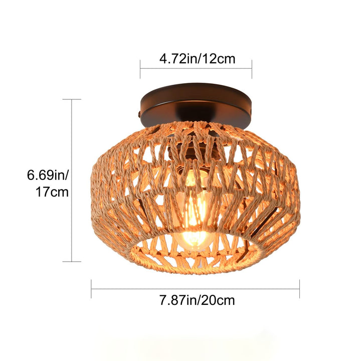 Ceiling light Bowlift