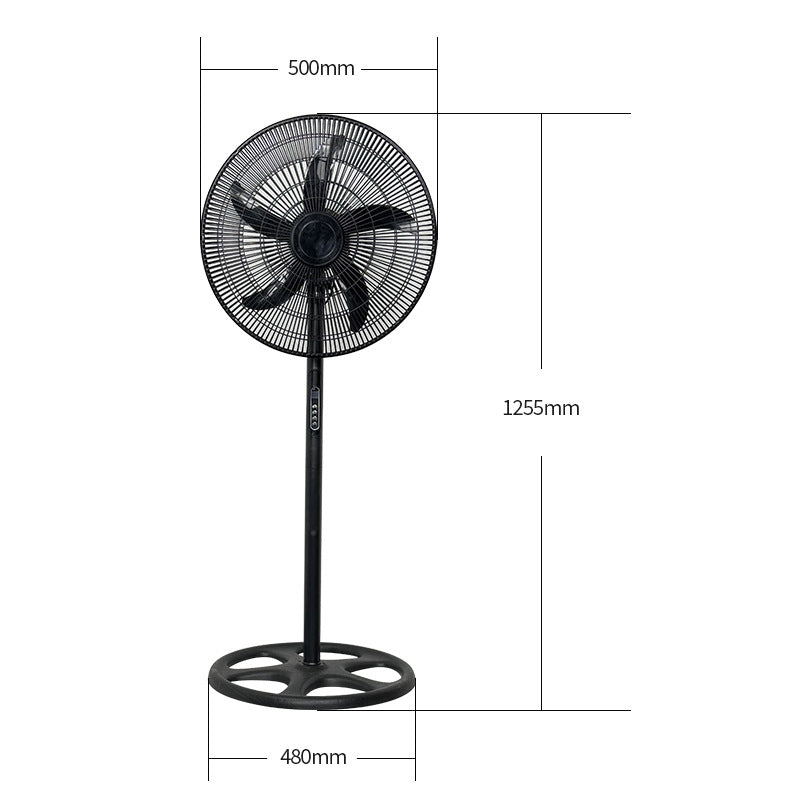 Ladies Stand Fan Bowlift