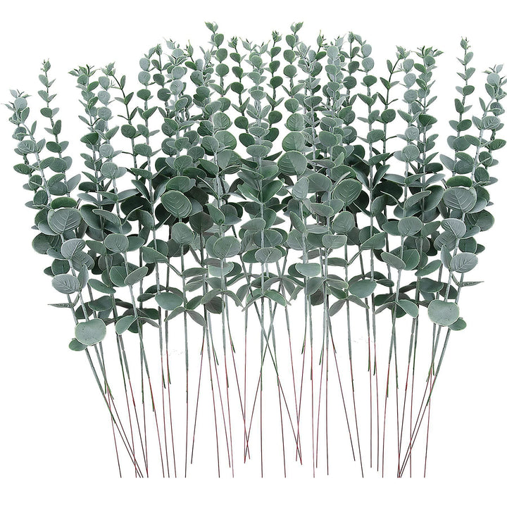 Decorative Eucalyptus Stem