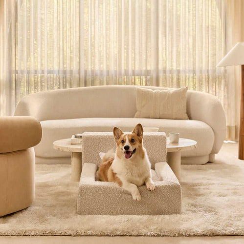 Modern  Lounge Sofa  Dog Bed