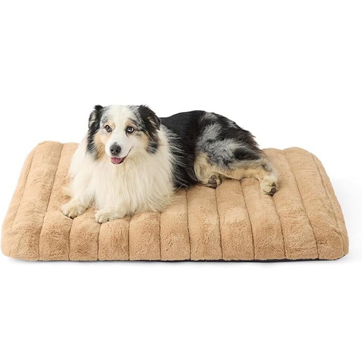 Plush Orthopedic  Lounge Bed   Dog Bed