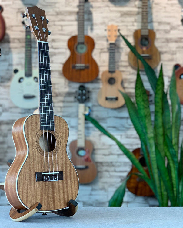 Premium Acoustic Ukulele Bowlift