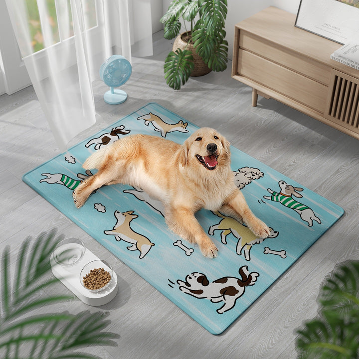Pet-Friendly Comfort Mat Bowlift