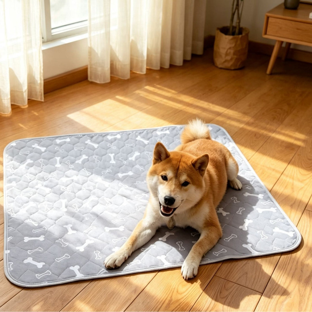 Pet Comfort Dog Mat