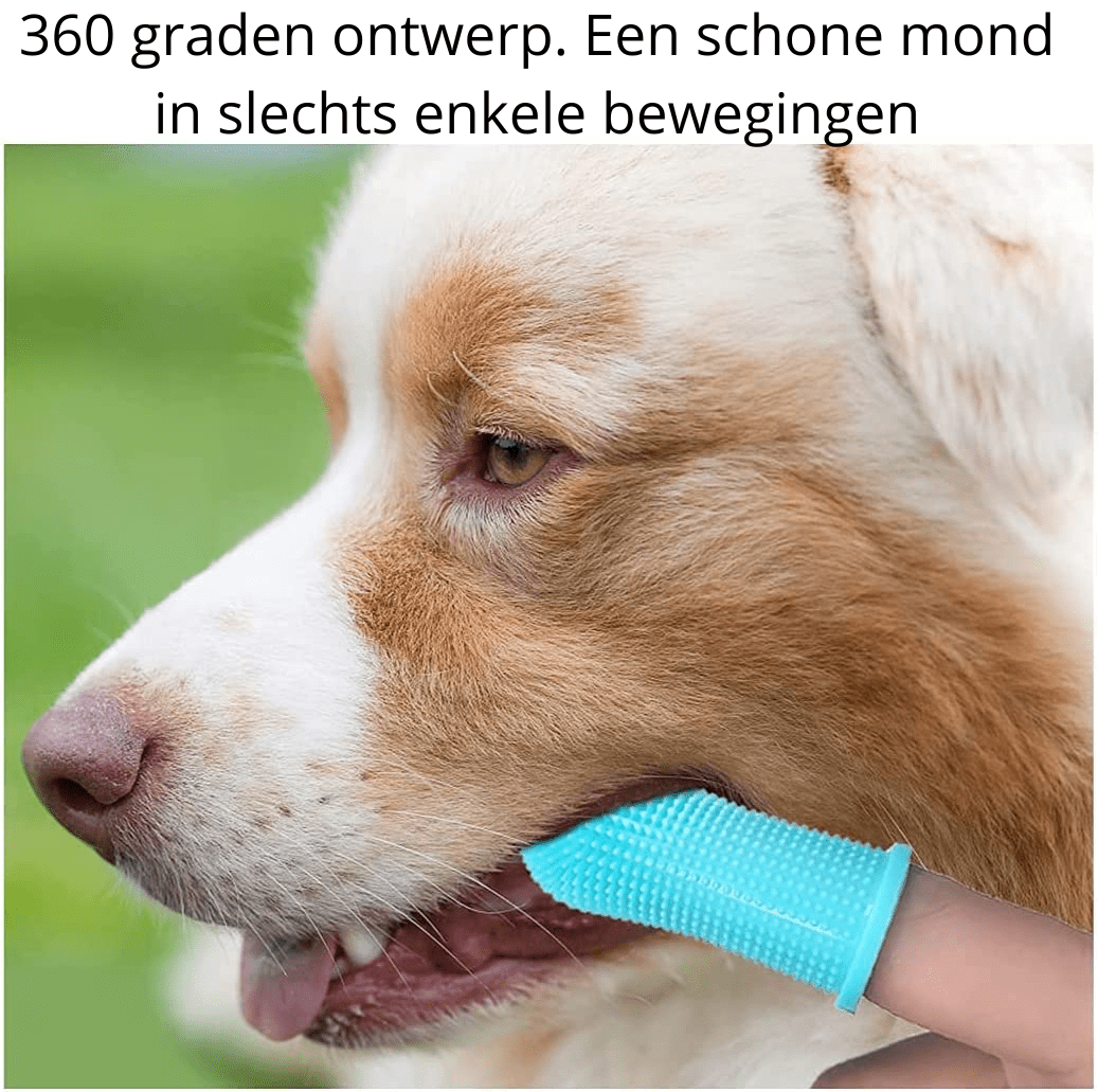 BowLift | PAWCLEAN PRO – 360° Silicone Finger Toothbrush for Stress-Free Dental Care for Dogs