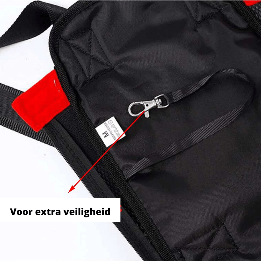 BowLift | PETCARRIER – Carrier bag for dogs with safety strap & comfort padding