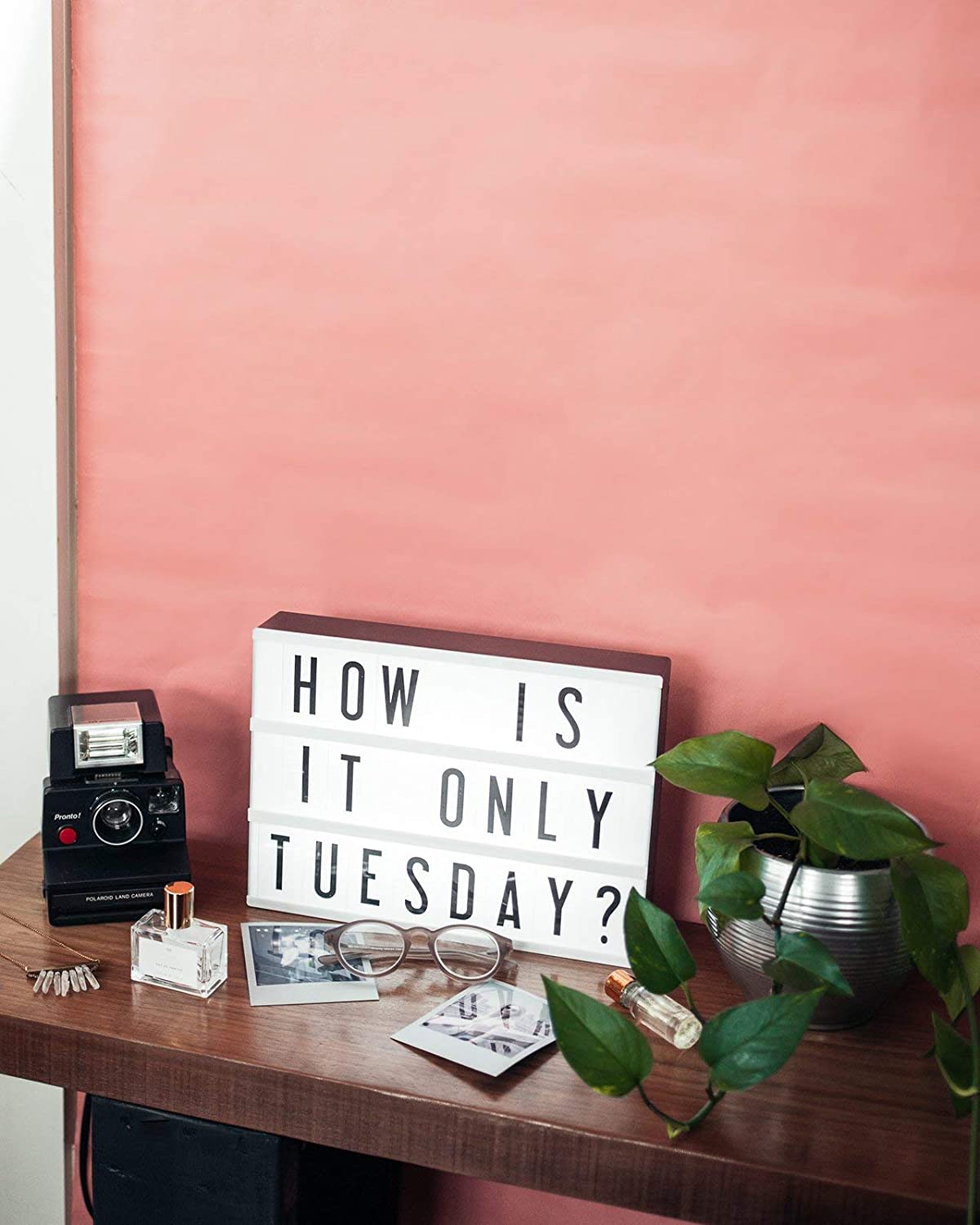 BowLift | Original Light Box