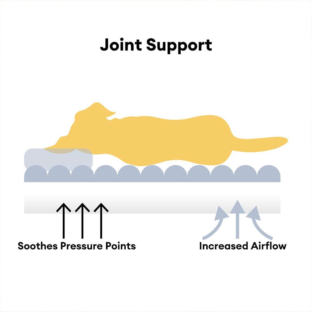 BowLift | Orthopaedic dog cushion with neck support & fluffy comfort