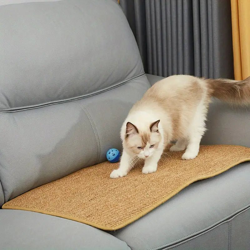 BowLift | Modern cat scratching post for claw care & play fun