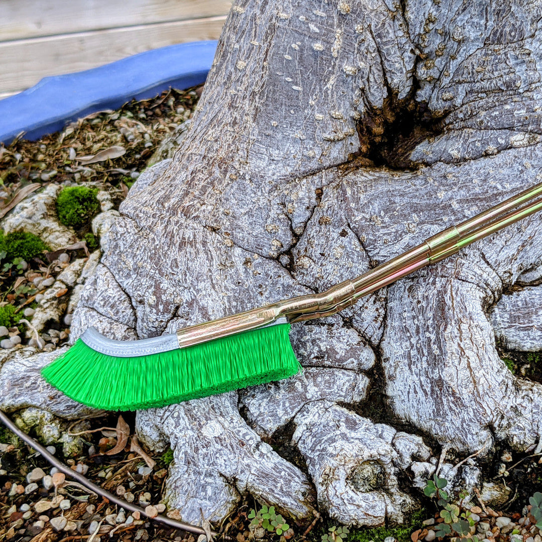 BowLift | Nylon brush for bonsai trunk area cleaning – garden care tool