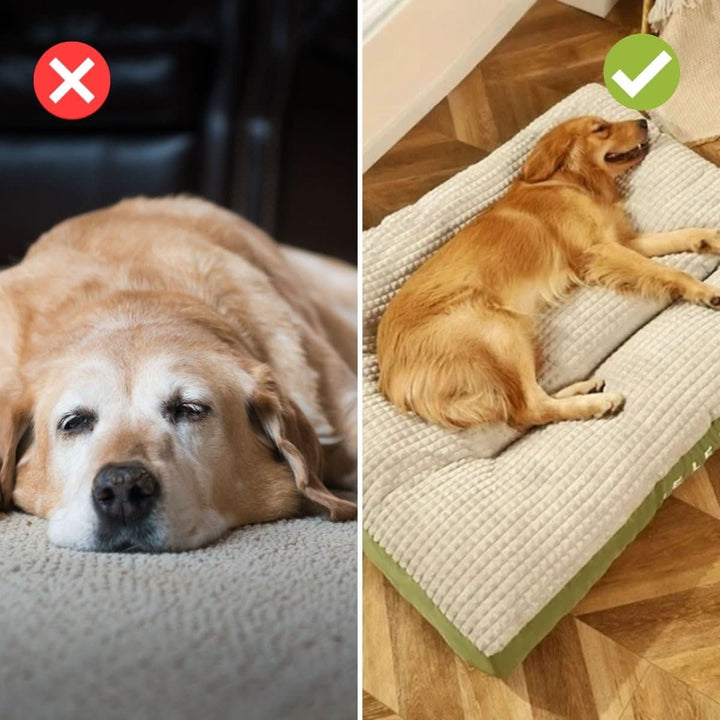 BowLift | Orthopedic Dog Bed with Optimal Support & Comfort