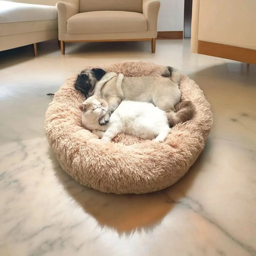 BowLift | RelaxPaw Comfort Bed – Super soft & calming for your dear one