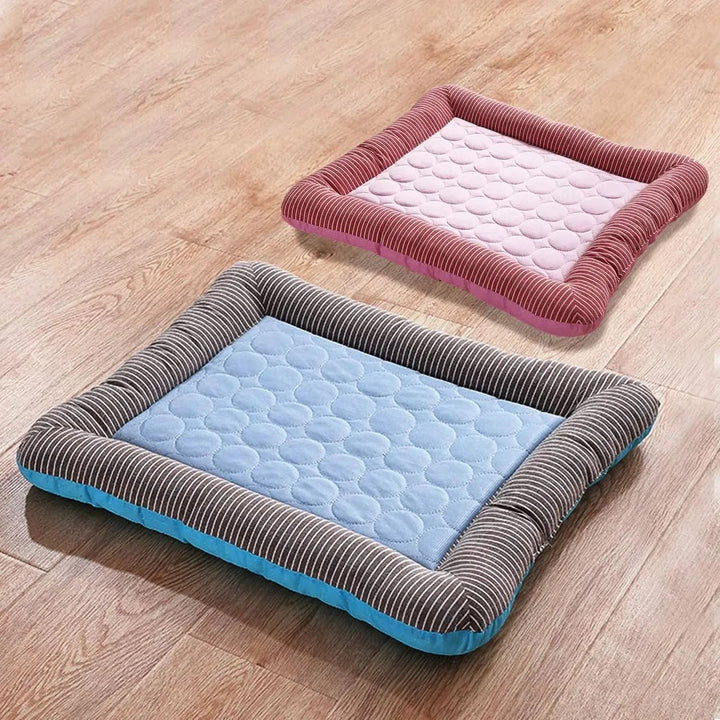 BowLift | Cooling Pet Bed for Hot Days