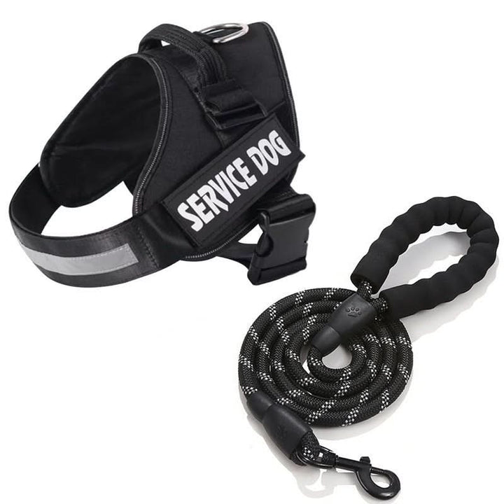 BowLift | Personalisable dog harness for comfort & safety
