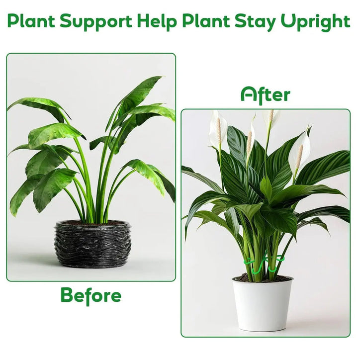 BowLift | Plant Stem Stabilizer Set – For Healthy Growth & Secure Stand