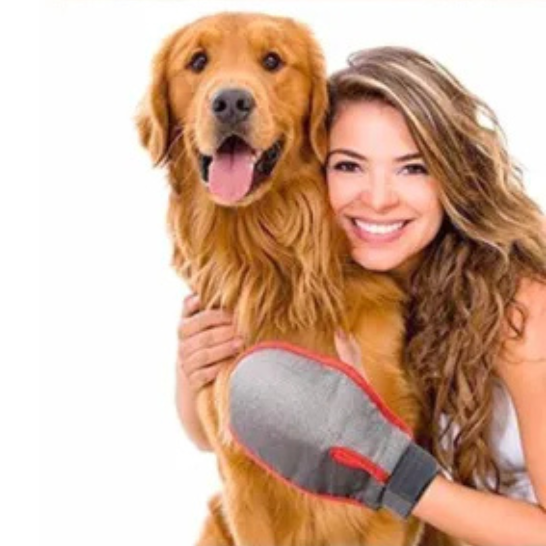 Massage care glove for dogs and cats Bowlift