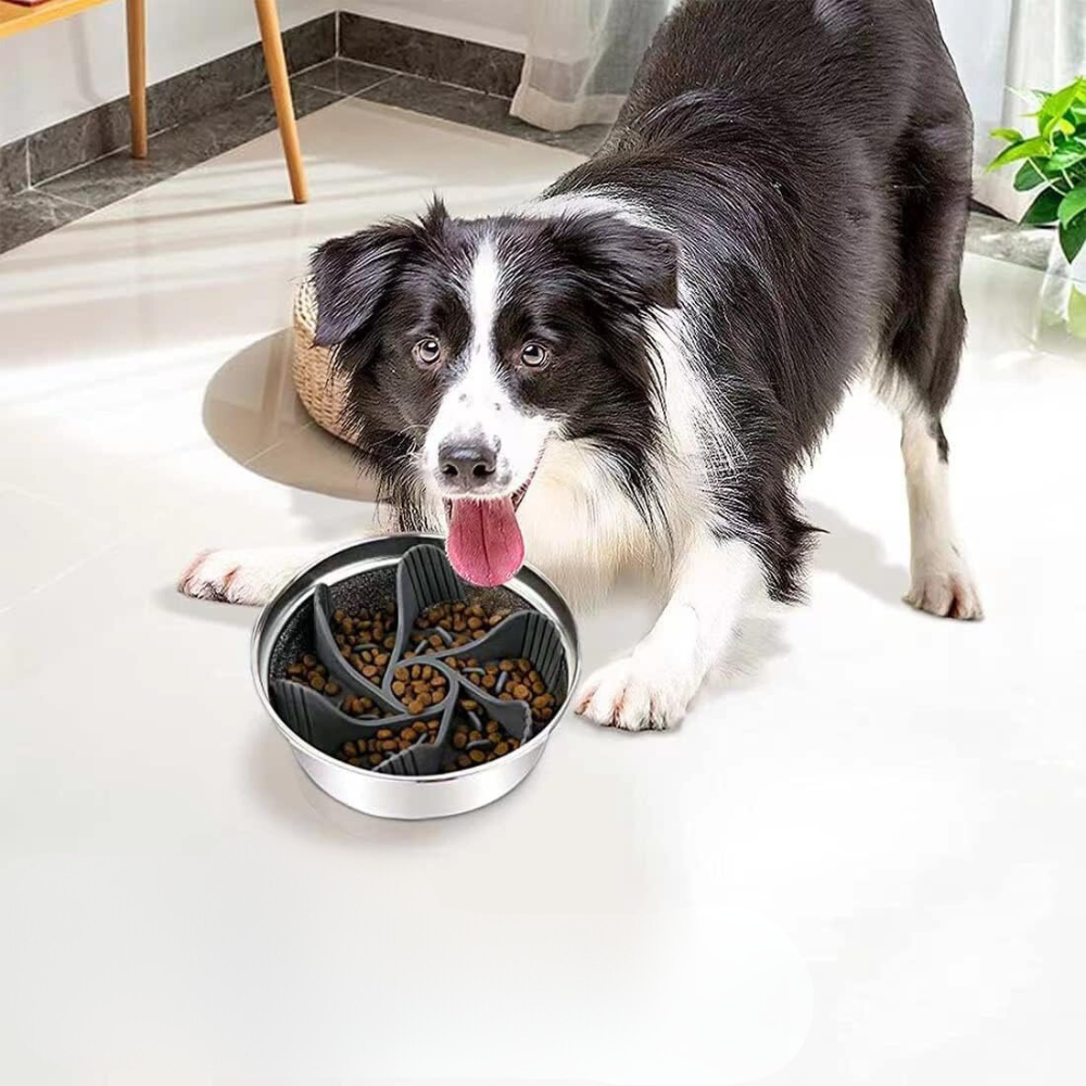 SpiralSlow • Dog Feeding Bowl Slow