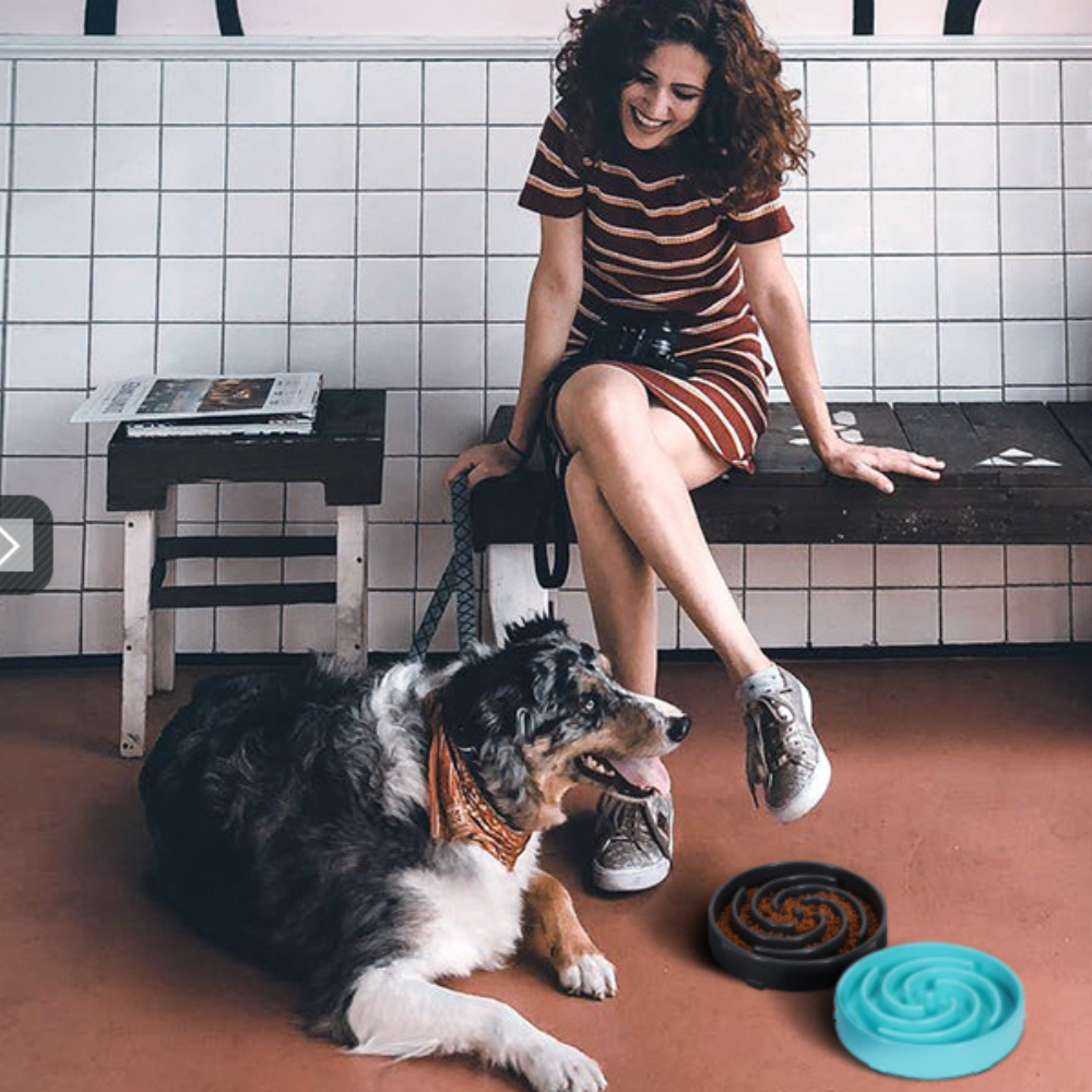 PuzzleFeast • Dog Feeding Bowl Slow