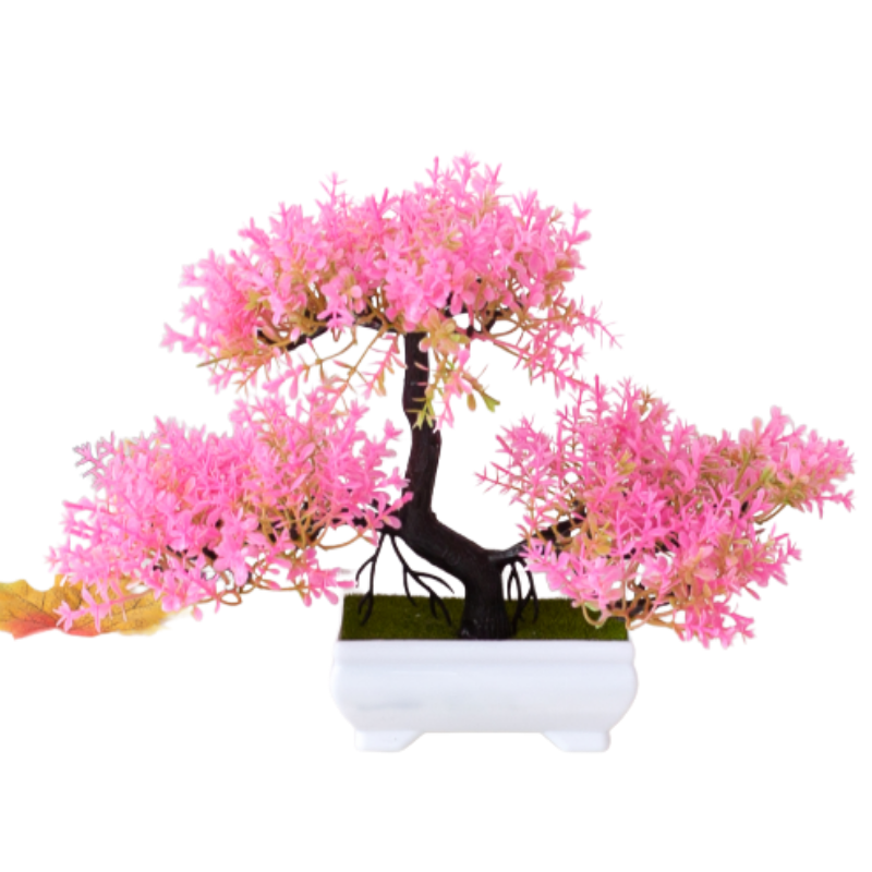 BowLift | Bloom