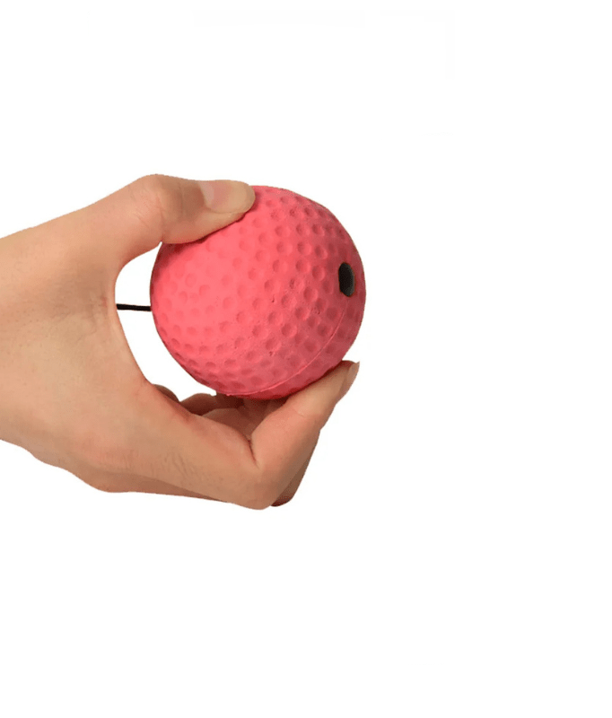 BowLift | PunchPro – Reflex ball for boxing training & reaction improvement with 2 training balls