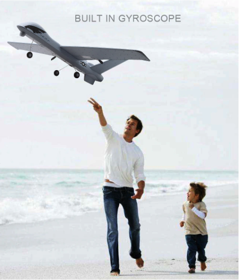 BowLift | RC Plane | Remote Control Plane Predator Z51