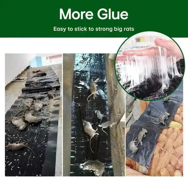 BowLift | Extra Strong Rat Sticky Trap