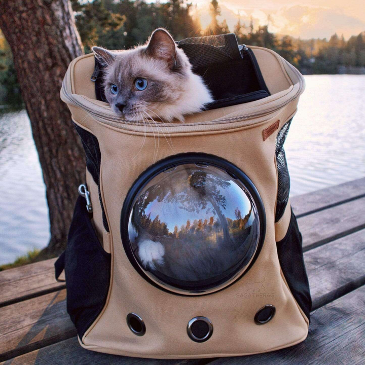 BowLift | PurrVenture Backpack – Portable Pet Carrier for Cats and Small Pets