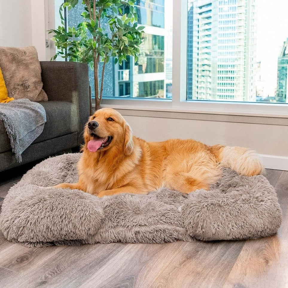 PawsomeRest - The Ultimate Orthopedic Dog Bed