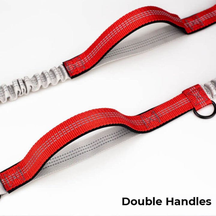 BowLift | Telescopic Double Handle Multifunctional Dog Leash