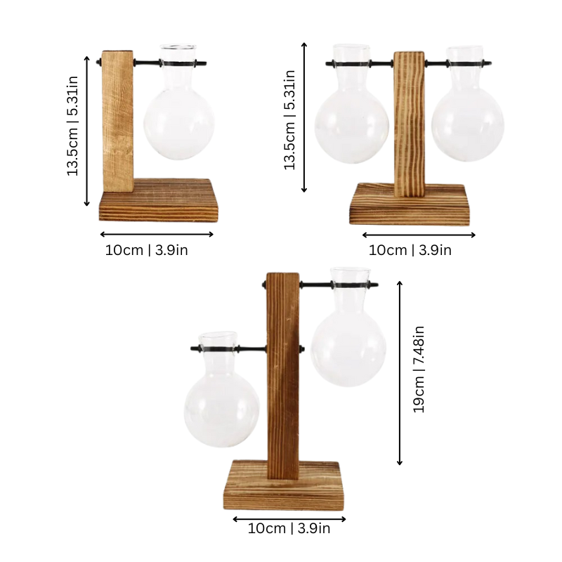 BowLift | RootLab
