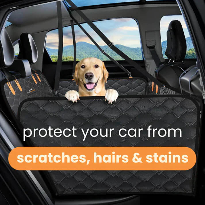 BowLift | DogBench | Travel peacefully with your dog