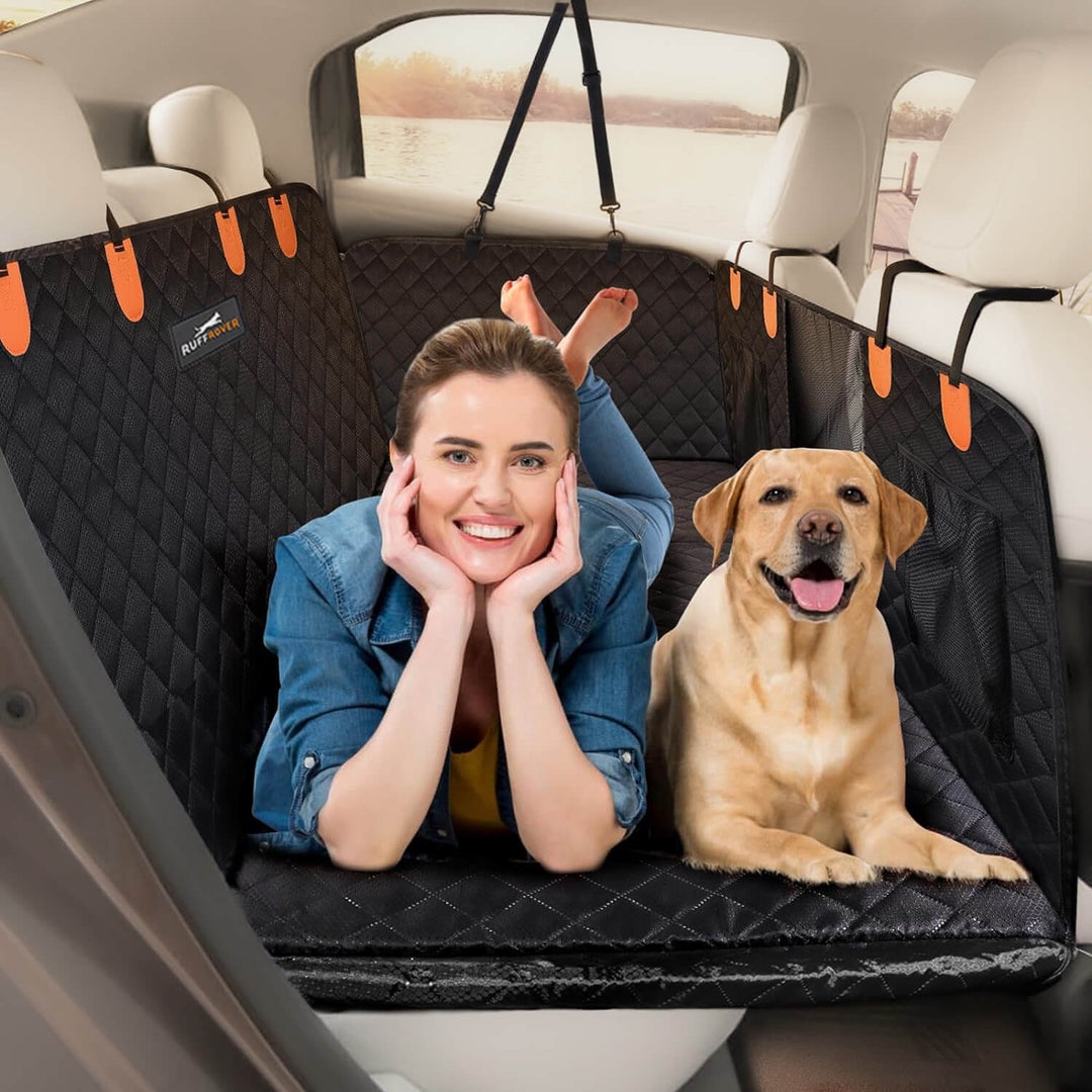 BowLift | DogBench | Travel peacefully with your dog