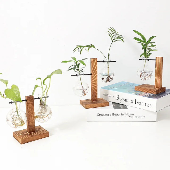 BowLift | Vasoya Glass Vases | 3-Piece Set with Wooden Frame | Scandinavian & Versatile | For Flowers & Hydroponics