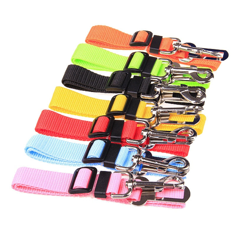 Safety seatbelt for Pets Bowlift