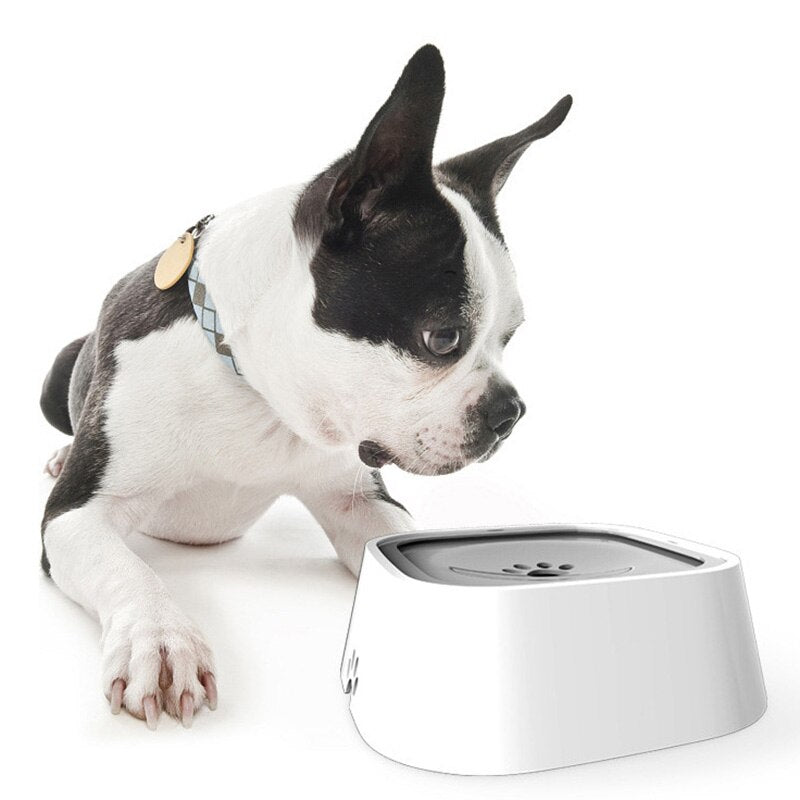SplashGuard – Efficient Dog Spray Protector Against Stains Bowlift