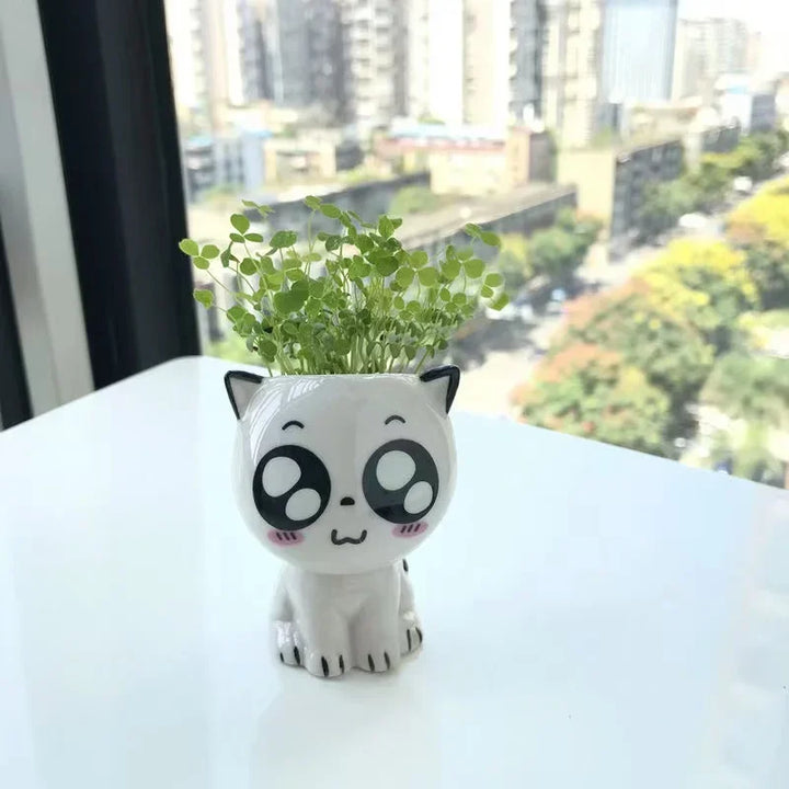 BowLift | PurrPlant Mini Ceramic Pot | Cute Cat Design | For Desk & Decor