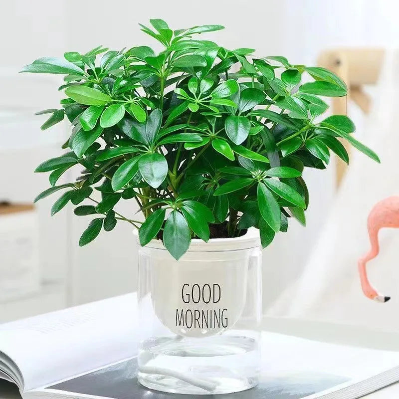 BowLift | Artificial Plant EverLeaf 33 | 33 cm | With Stem & Leaves | Low-Maintenance Decor for Home & Office