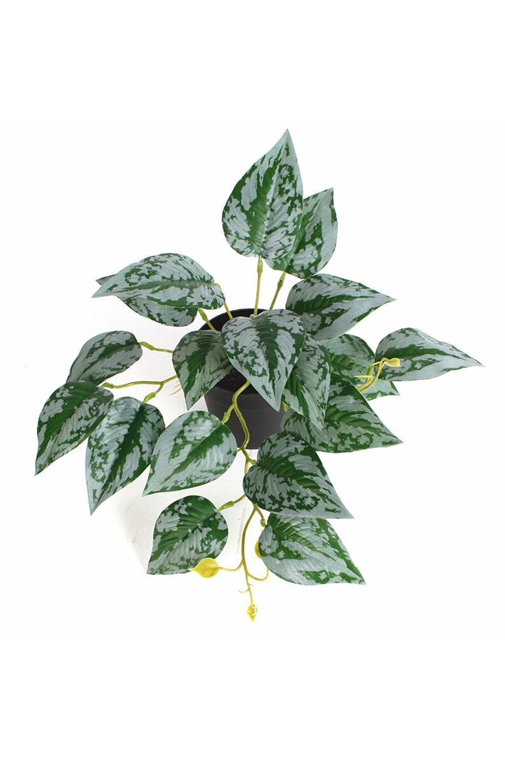 green grapevine wall decoration | Bowlift