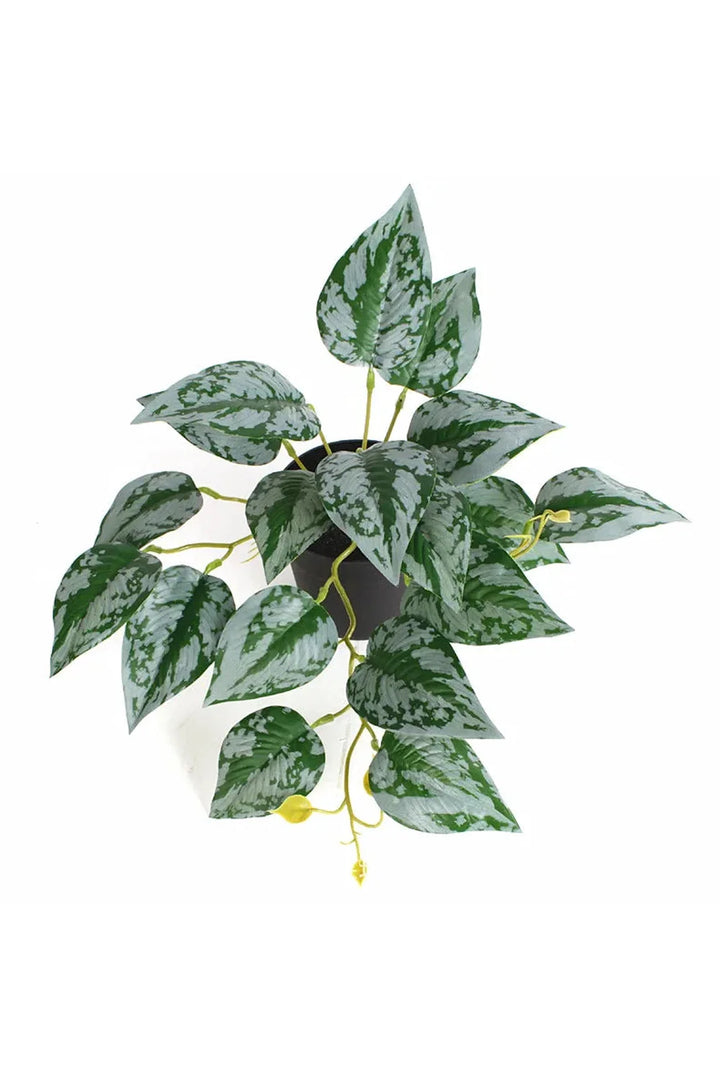 Green Artificial Plants | Bowlift