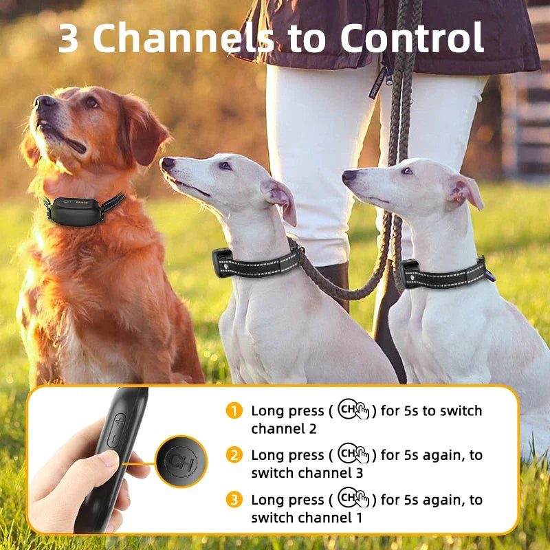 Electric Dog Training Collar with 1000m Remote & Waterproof Design – PetTrainer Bowlift