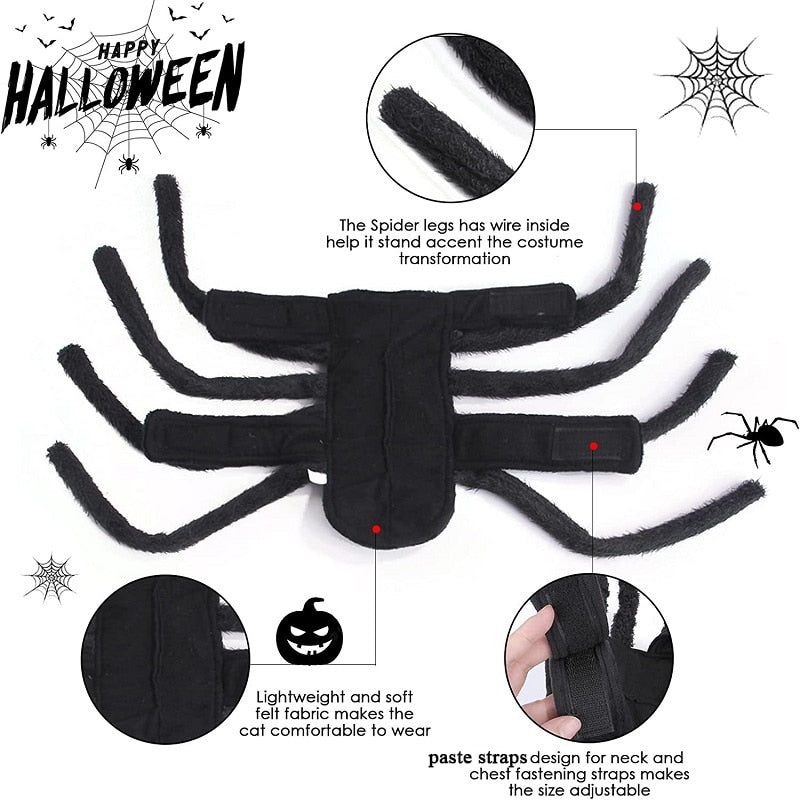 BowLift | Black Spider Pet Costume