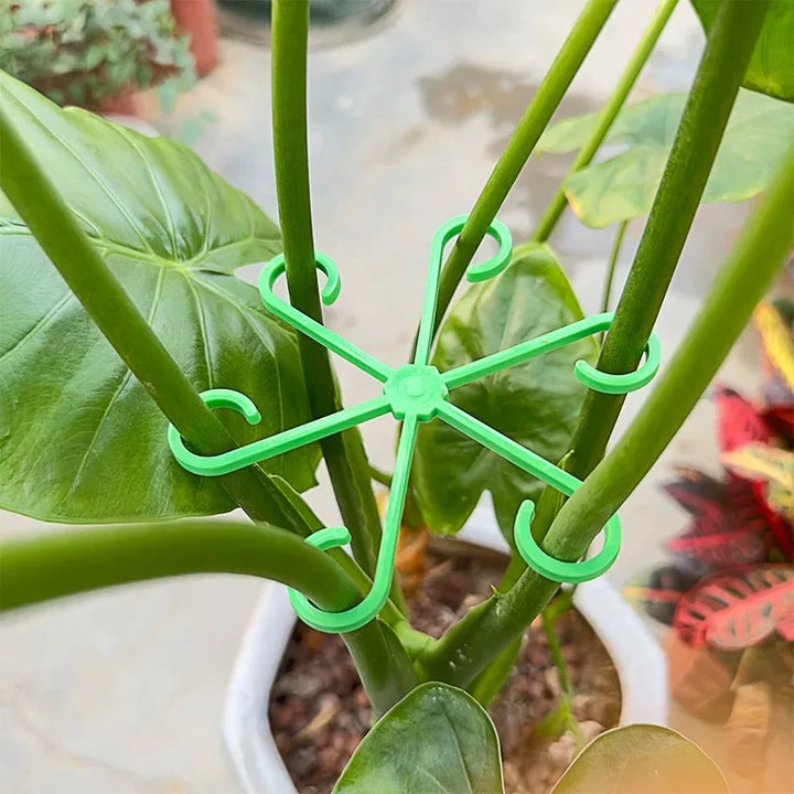 BowLift | Plant Stem Support Frame