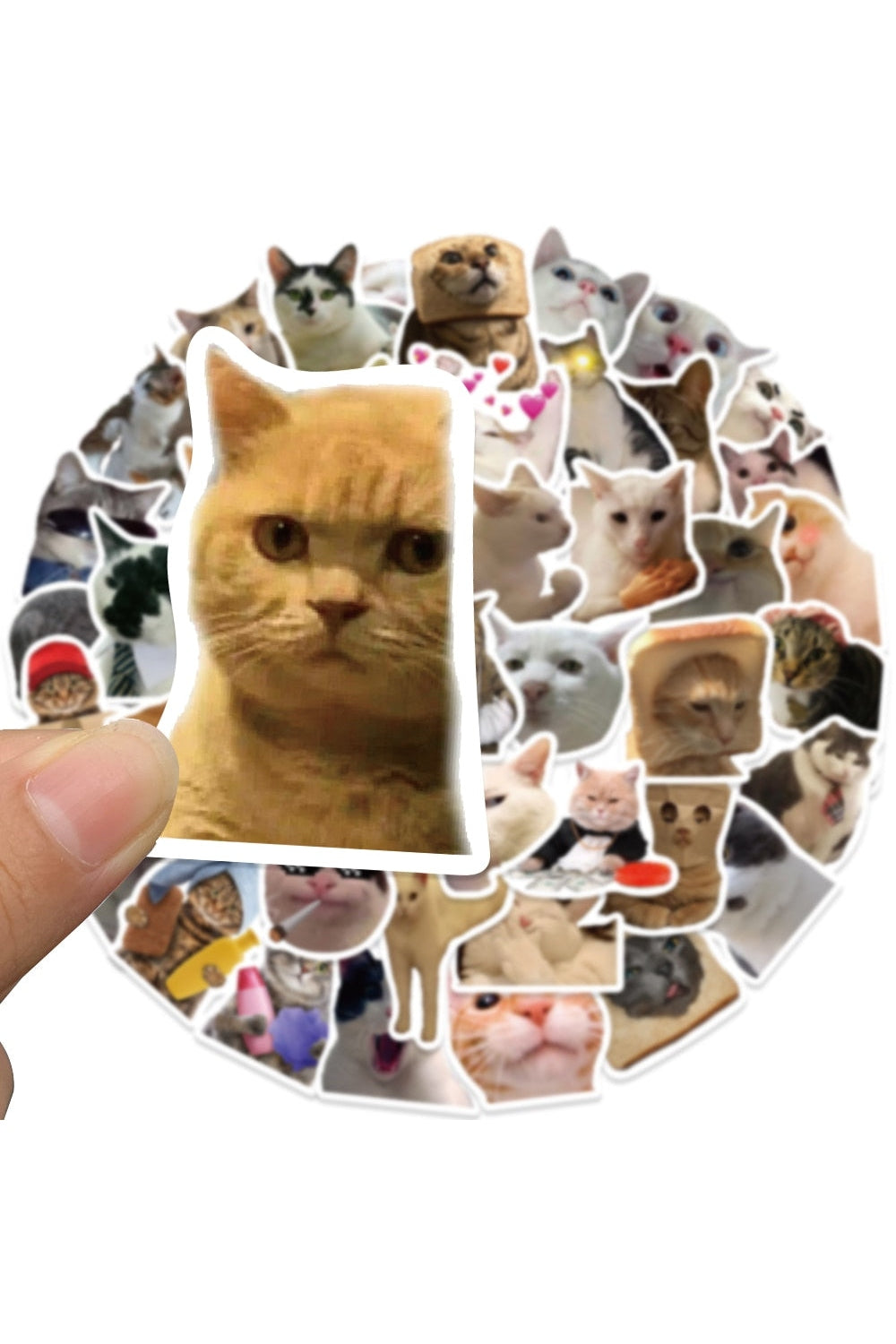 Cat Fun Stickers 50 Pieces | Bowlift