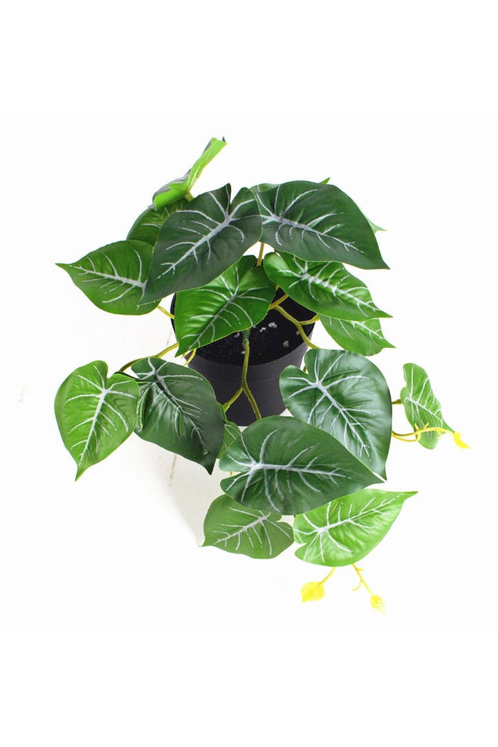 green grapevine wall decoration | Bowlift