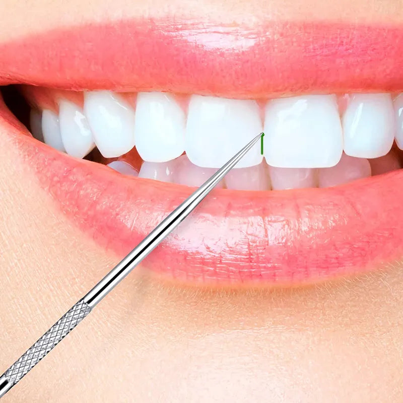 BowLift | Stainless Steel Reusable Toothpick Set