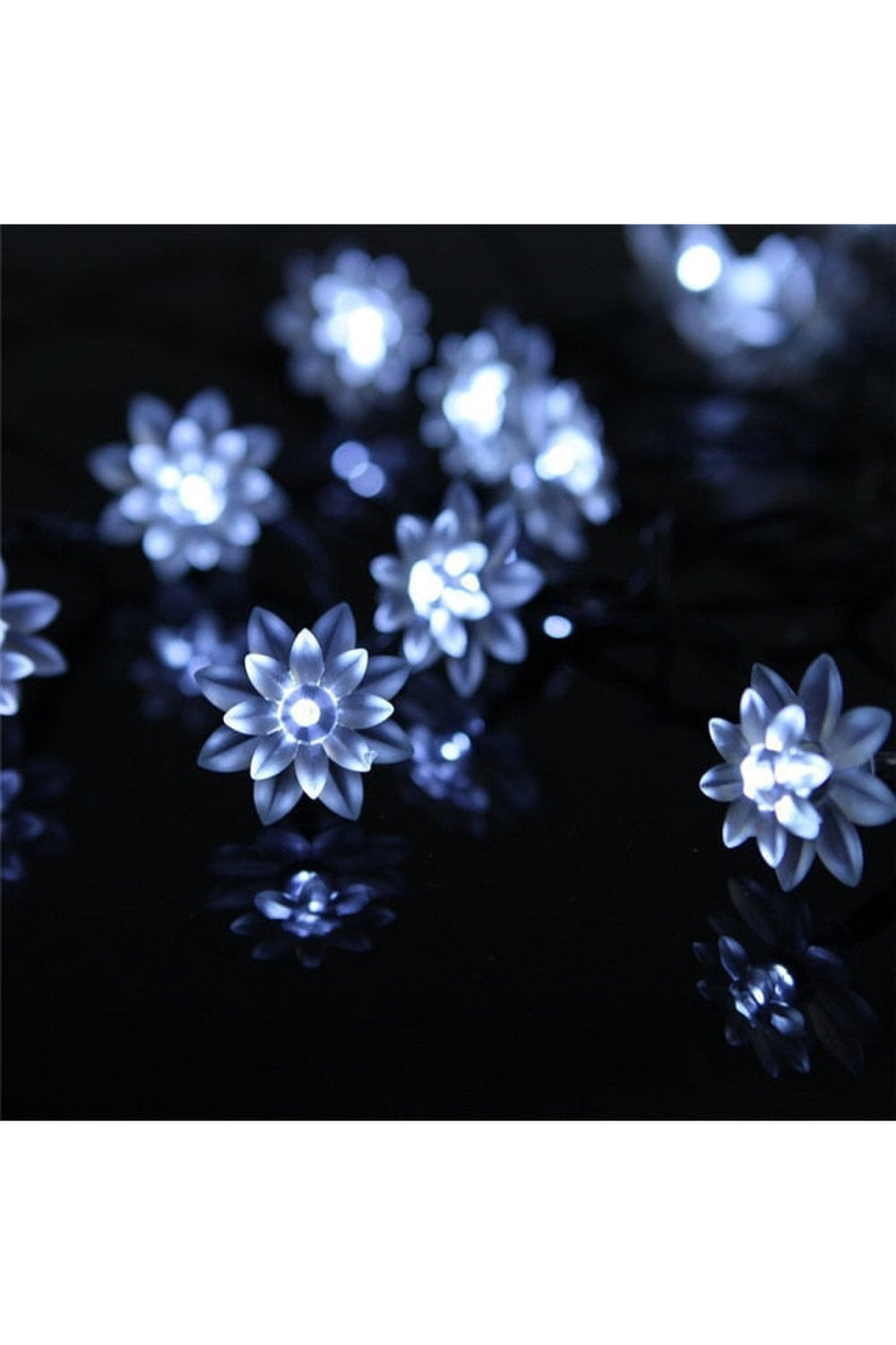 Solar Blossom String Lights | Bowlift