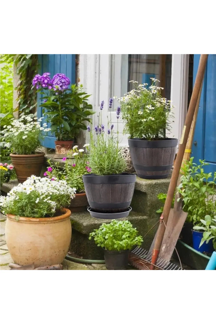 Wood Barrel Plant Pot | Bowlift