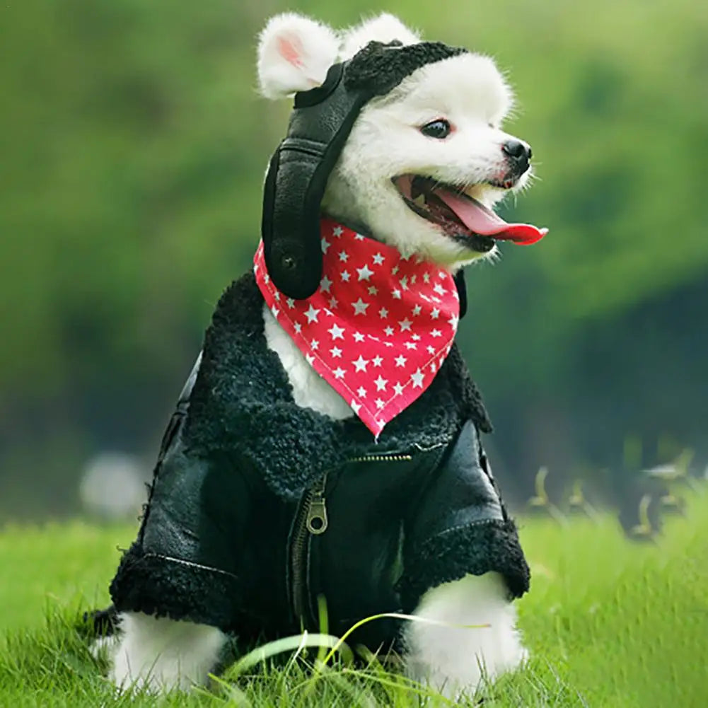 Winter pilot cap for pets warm and comfortable Bowlift