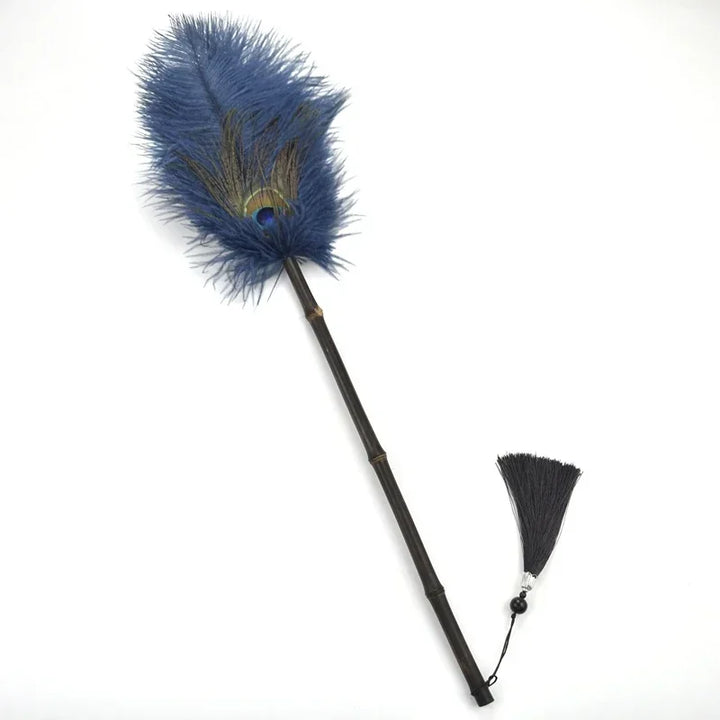 Peacock Feather Anti-Static Dusting Brush | Bowlift