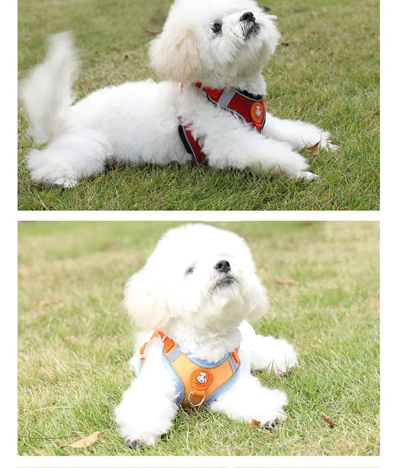 Breathable dog harness adjustable & comfortable Bowlift